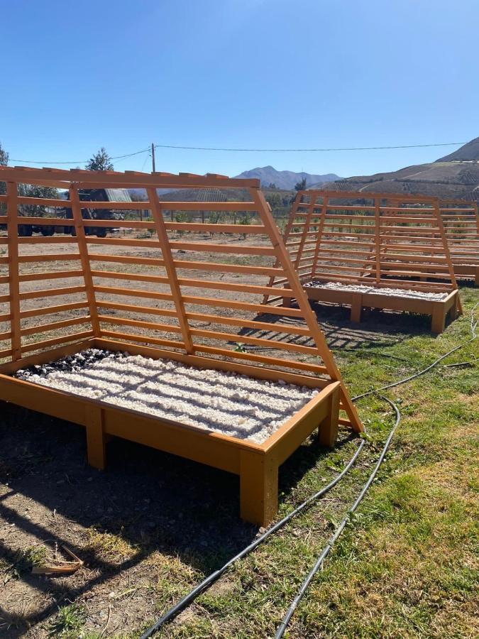 Cabanas Vicuna Cielo De Peralillo - Valle De Elqui Kültér fotó